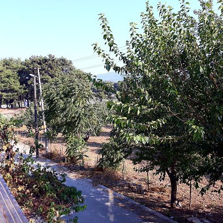 Can Efes Hotel 셀주크 외부 사진
