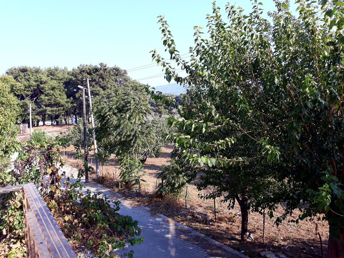 Can Efes Hotel 셀주크 외부 사진
